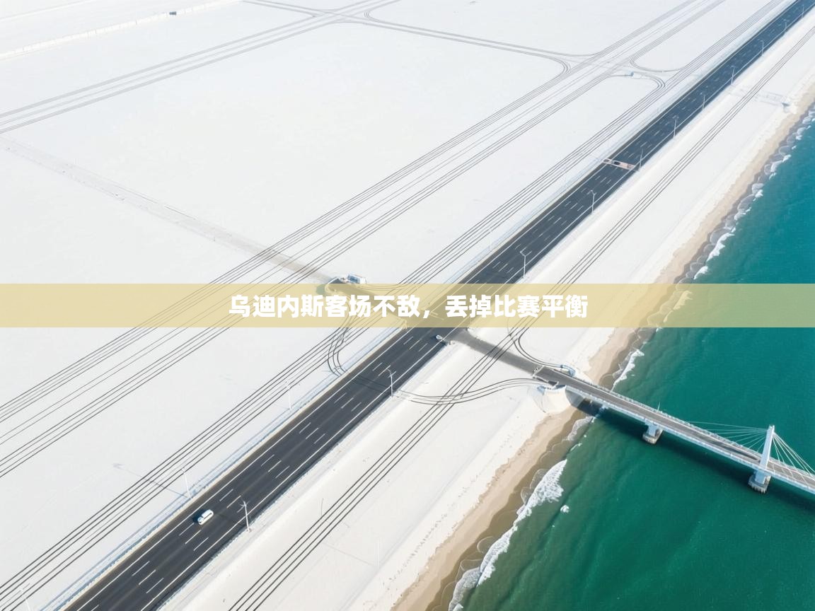 乌迪内斯客场不敌,丢掉比赛平衡 第1张