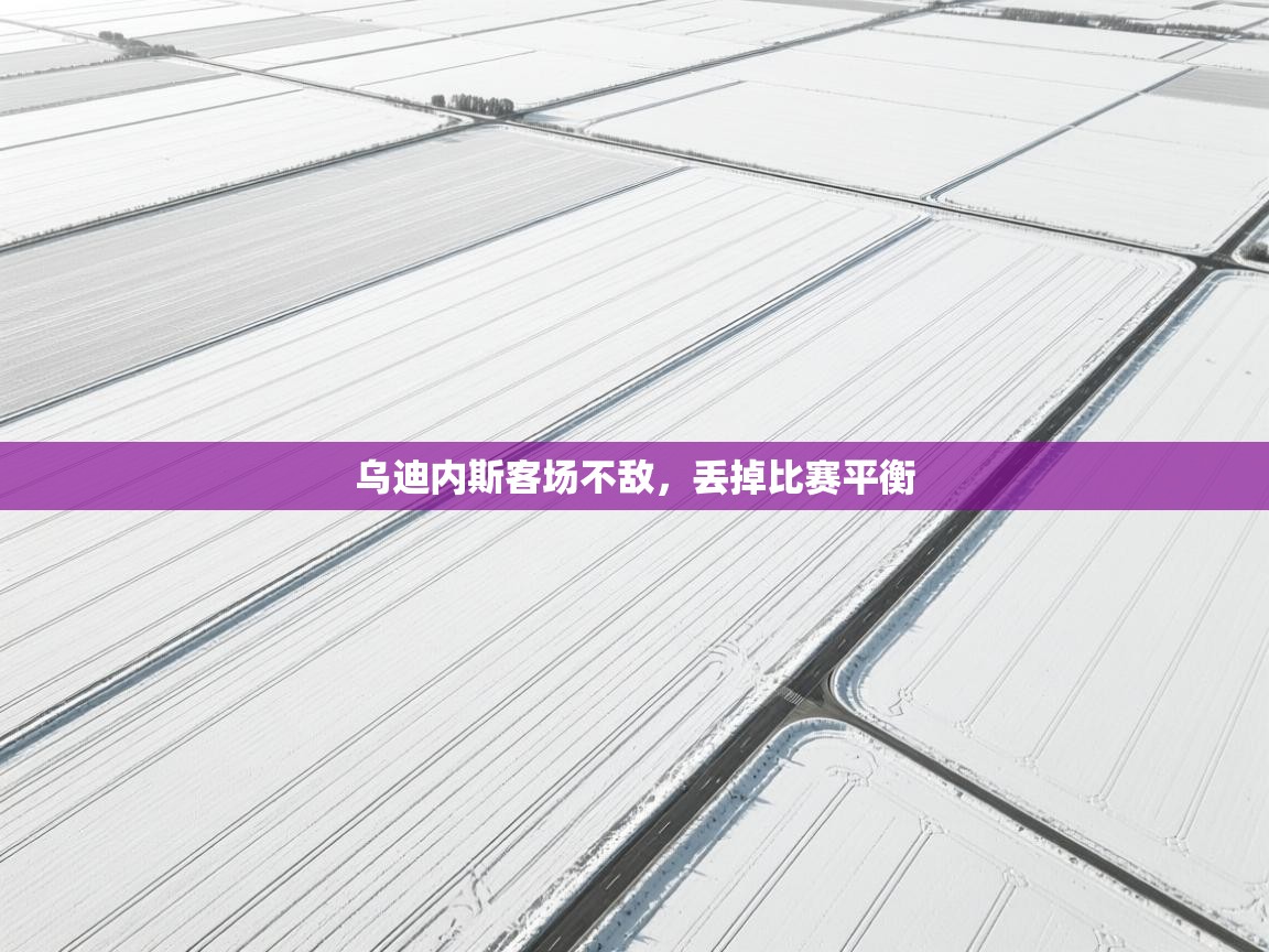 乌迪内斯客场不敌,丢掉比赛平衡 第2张