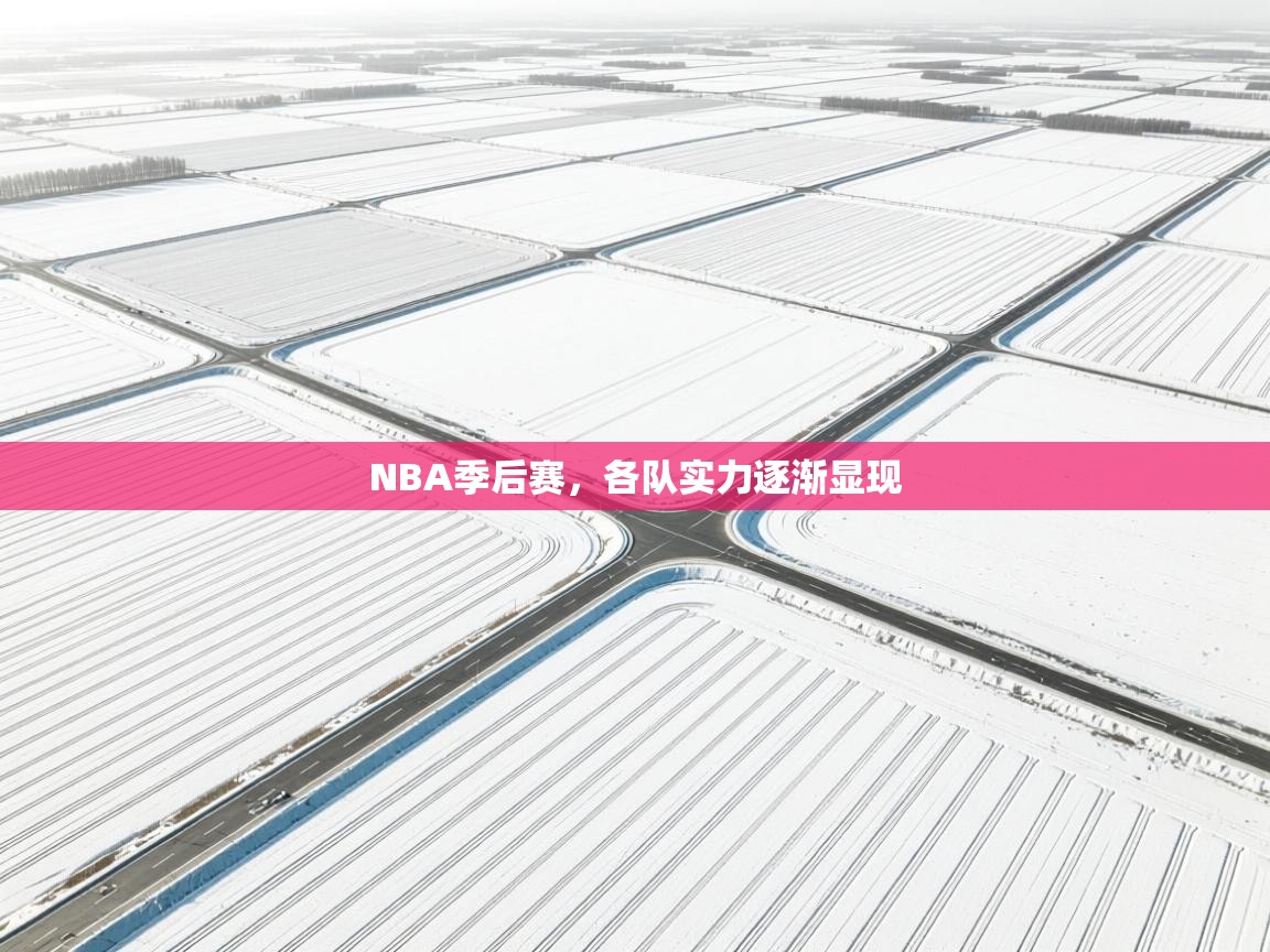 NBA季后赛，各队实力逐渐显现  第1张