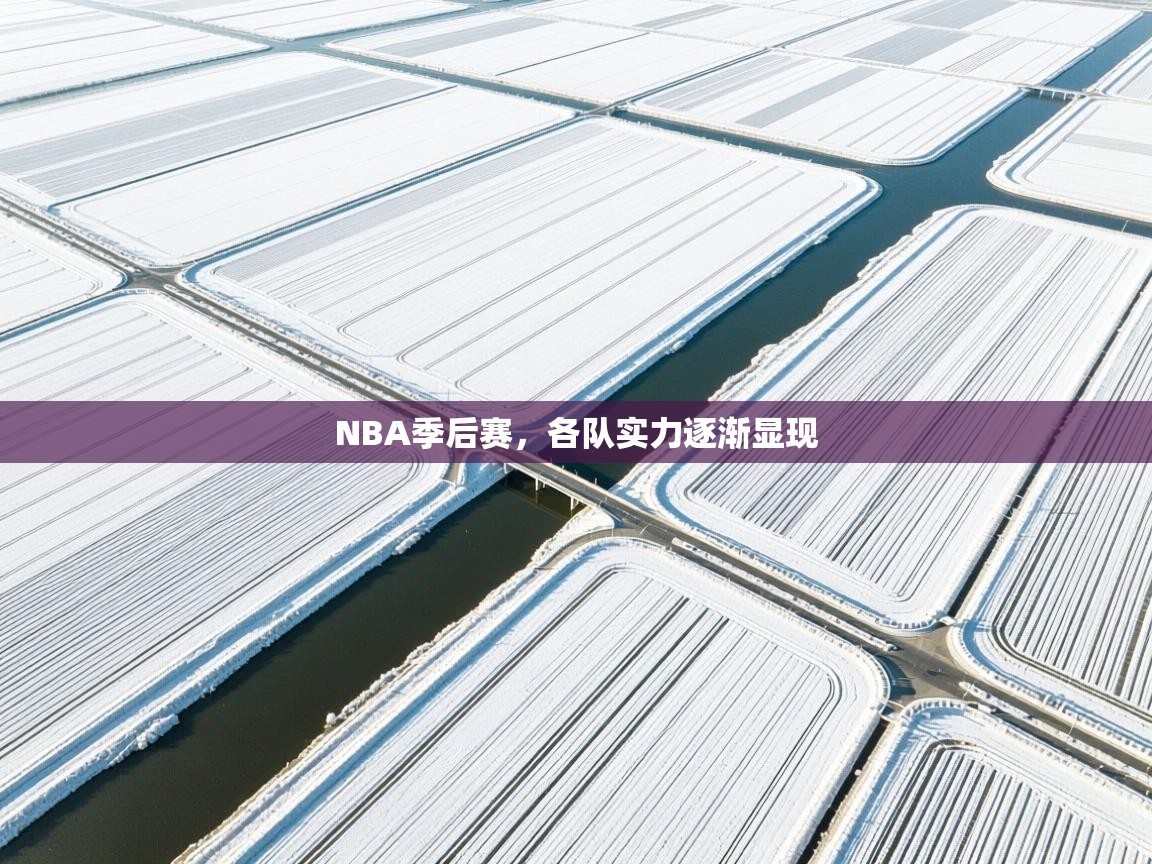 NBA季后赛，各队实力逐渐显现  第2张
